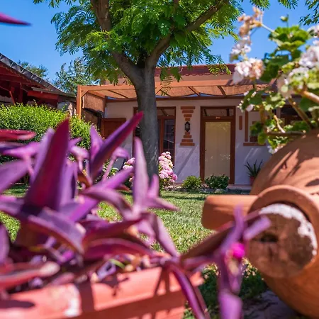 Armagrandi Bozcaada-special Category